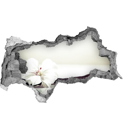 Decorazione da parete buco nel muro Vista floreale attraverso il muro