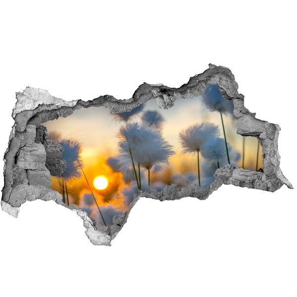 Adesivo con vista dietro il muro Fiori al tramonto