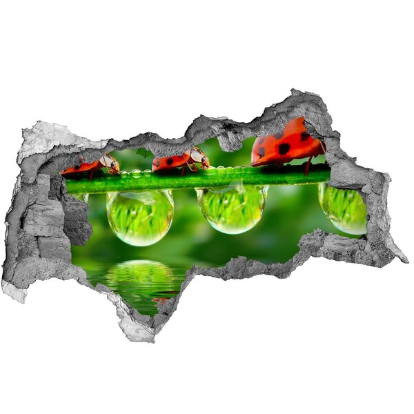 Adesivo con vista dietro il muro Una goccia di natura con una coccinella