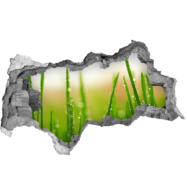 Decorazione da parete buco nel muro Prato verde con gocce d'acqua