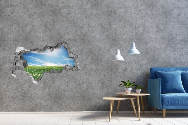 Decorazione da parete buco nel muro Un prato fiorito sotto un cielo azzurro