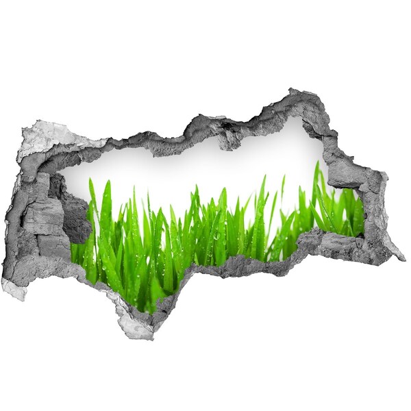 Sticker effetto rottura muro Un prato verde visibile attraverso un buco nel muro