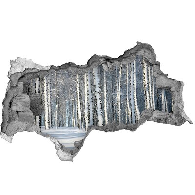 Adesivo con vista dietro il muro Foresta invernale in bianco