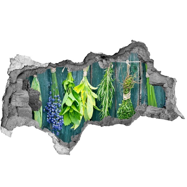 Sticker effetto rottura muro Orto di erbe aromatiche in cucina