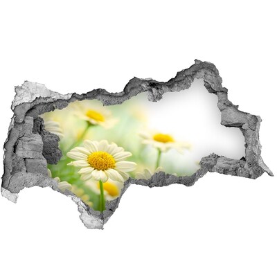 Decorazione da parete buco nel muro Un paradiso di fiori dietro il muro