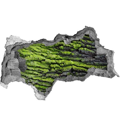 Adesivo con vista dietro il muro Roccia verde nella buca