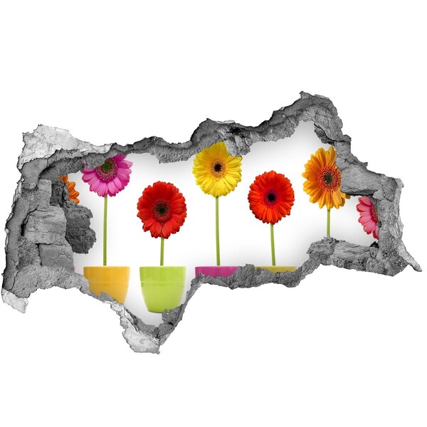 Decorazione da parete buco nel muro Fiori in vaso visti attraverso un buco nel muro