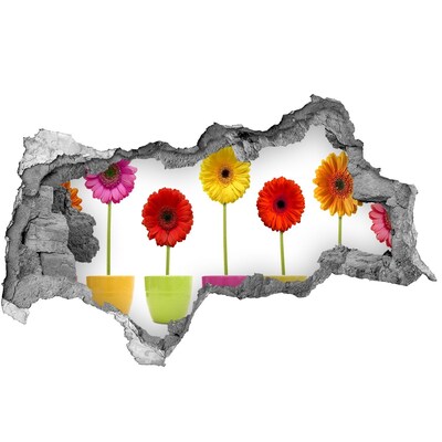 Decorazione da parete buco nel muro Fiori in vaso visti attraverso un buco nel muro