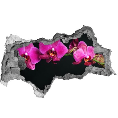 Sticker effetto rottura muro Orchidea attraverso il muro