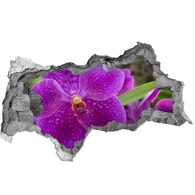 Decorazione da parete buco nel muro Fiore d'orchidea in un buco nel muro