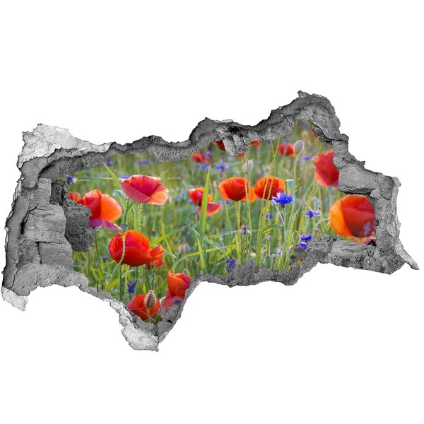 Adesivo con vista dietro il muro Un paradiso di fiori dietro il muro