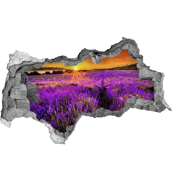 Adesivo con vista dietro il muro Campo di lavanda al tramonto