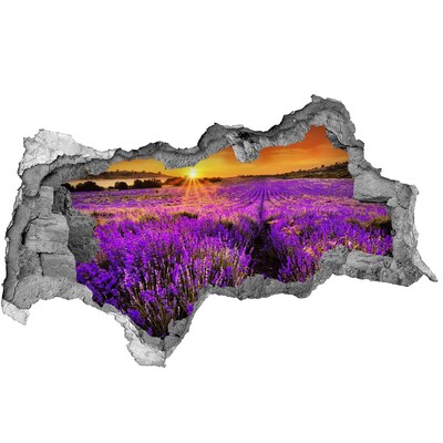 Adesivo con vista dietro il muro Campo di lavanda al tramonto