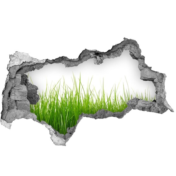 Adesivo con vista dietro il muro Un prato verde dietro il muro