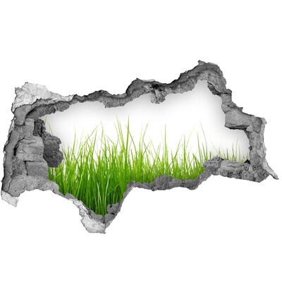 Adesivo con vista dietro il muro Un prato verde dietro il muro