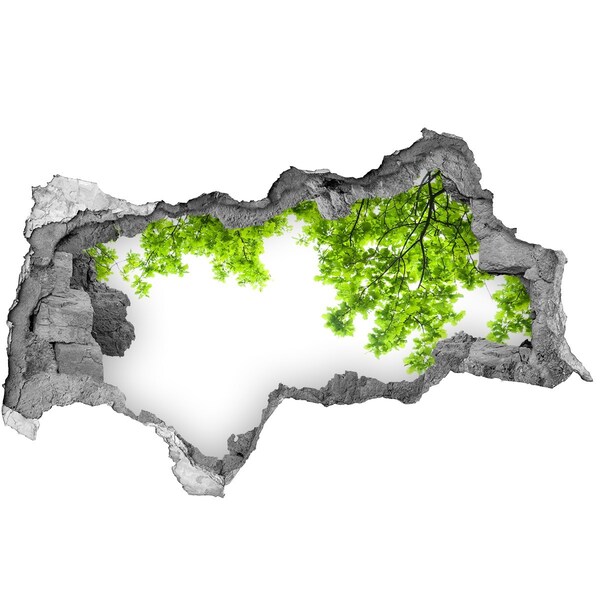 Decorazione da parete buco nel muro Un'oasi verde dietro il muro