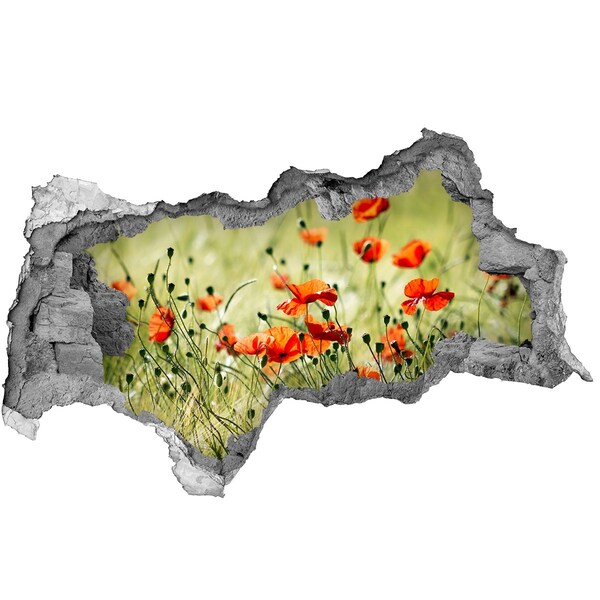 Adesivo con vista dietro il muro Un paradiso floreale tra i papaveri