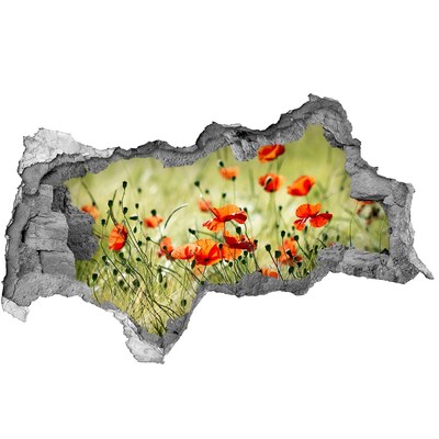 Adesivo con vista dietro il muro Un paradiso floreale tra i papaveri