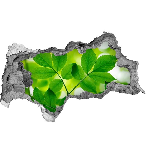 Adesivo con vista dietro il muro Un'oasi verde in cemento