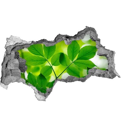 Adesivo con vista dietro il muro Un'oasi verde in cemento