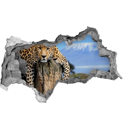 Decorazione da parete buco nel muro Lo sguardo appiccicoso di un leopardo