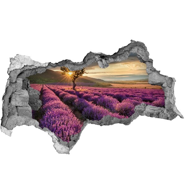 Sticker effetto rottura muro Campi di lavanda al tramonto