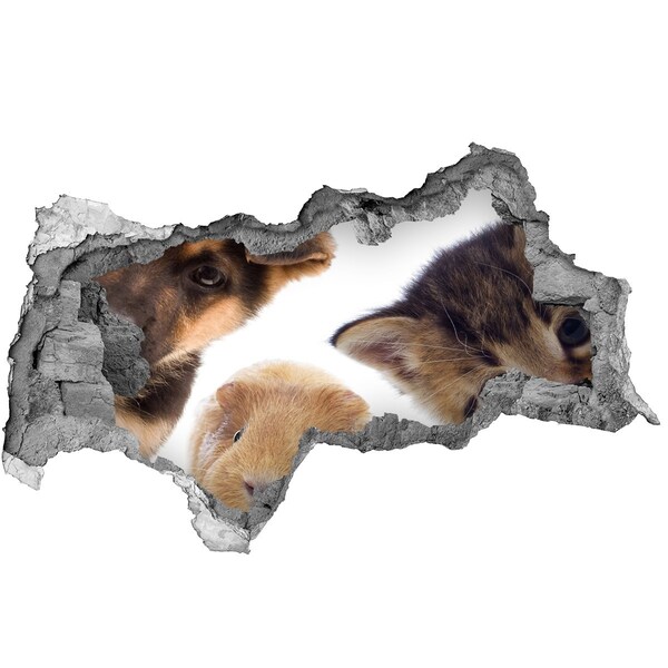 Sticker effetto rottura muro Animali provenienti da oltre il muro