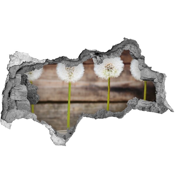 Adesivo con vista dietro il muro Fiori di tarassaco tra le rovine