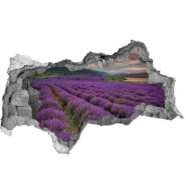 Decorazione da parete buco nel muro Campi di lavanda ai raggi del sole al tramonto