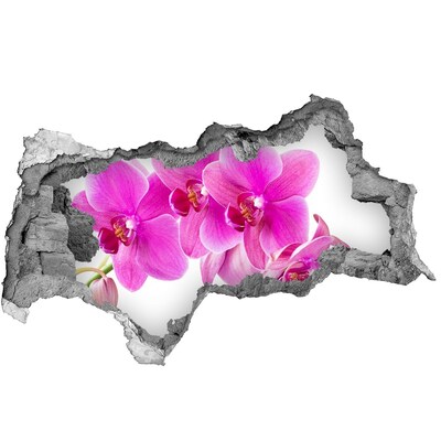 Sticker effetto rottura muro Fiori di orchidea in una buca di cemento