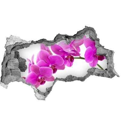 Sticker effetto rottura muro Orchidee che spuntano da un buco nel muro