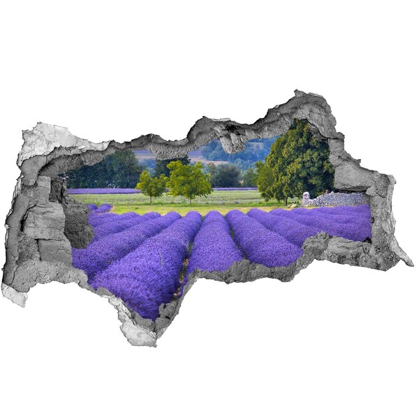 Decorazione da parete buco nel muro Campi di lavanda in Provenza