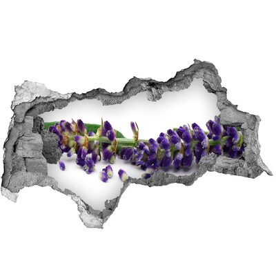 Adesivo con vista dietro il muro Un fiore di lavanda spunta dal buco nel muro