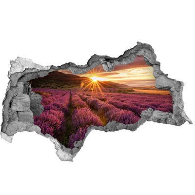 Sticker effetto rottura muro Campo di lavanda al tramonto