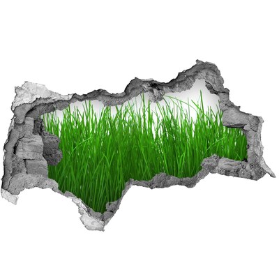 Adesivo con vista dietro il muro Un prato verde visibile attraverso un buco nel muro