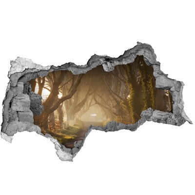 Adesivo con vista dietro il muro Un sentiero tra gli alberi