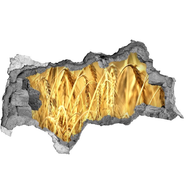 Adesivo con vista dietro il muro Chicchi dorati al sole