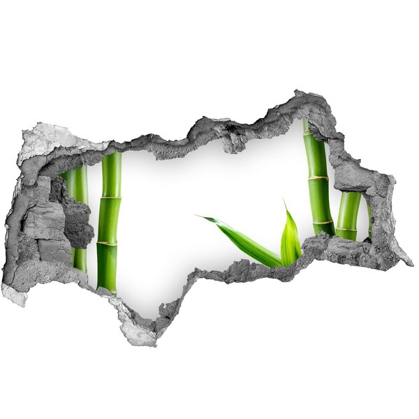 Decorazione da parete buco nel muro Pianta verde che spunta da un buco nel muro