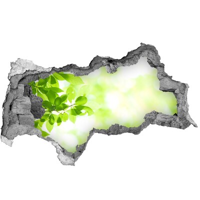 Decorazione da parete buco nel muro Un paradiso verde dietro le mura