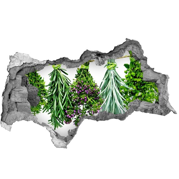 Sticker effetto rottura muro Giardino delle erbe aromatiche nel buco nel muro
