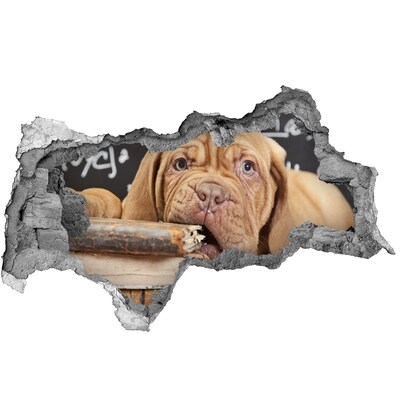 Sticker effetto rottura muro Un dolce cucciolo tra i libri