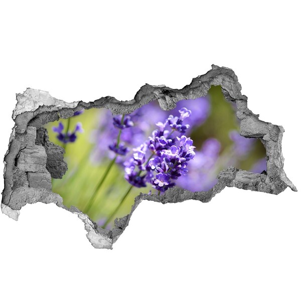 Adesivo con vista dietro il muro Fiori di lavanda in un buco virtuale
