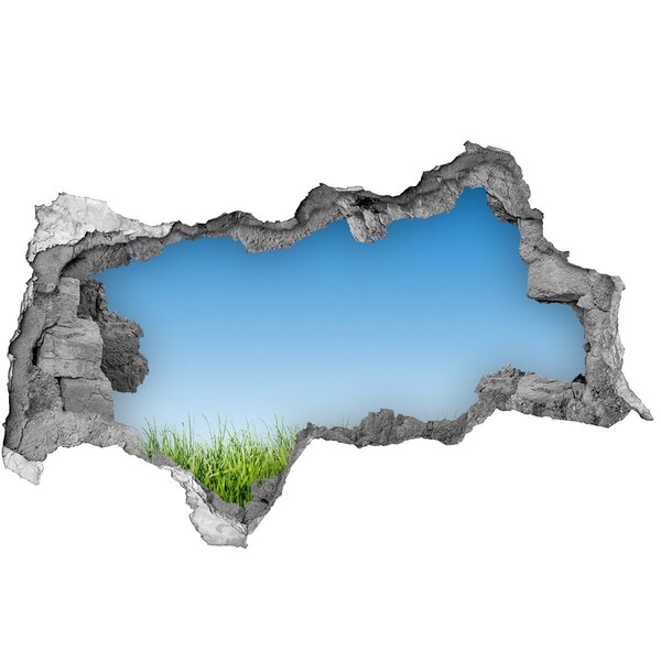 Adesivo con vista dietro il muro Un prato verde sotto un cielo azzurro