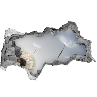 Decorazione da parete buco nel muro Denti di leone tra le nuvole