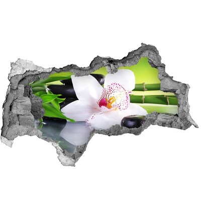 Decorazione da parete buco nel muro Un'oasi floreale di pace