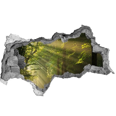 Adesivo con vista dietro il muro Oasi di luce nella foresta