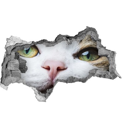 Sticker effetto rottura muro Il gatto nel muro