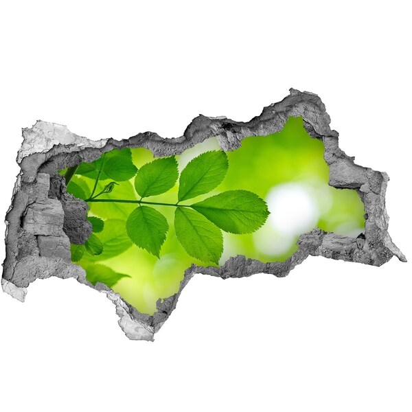 Sticker effetto rottura muro Un'oasi verde in cemento