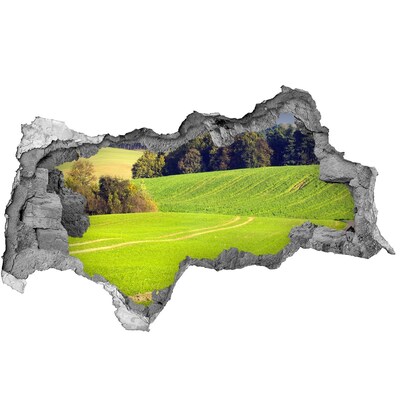 Decorazione da parete buco nel muro Un prato verde dietro il muro