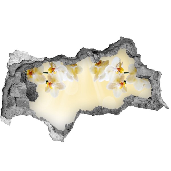 Adesivo con vista dietro il muro Un'oasi floreale dietro il muro